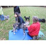 Seminar-Physio-42.jpg