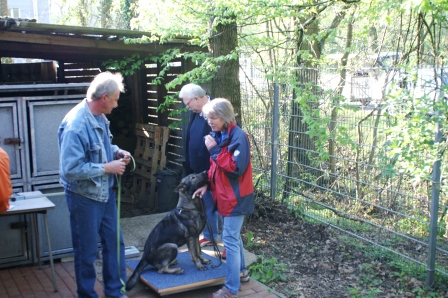 Koerung2009(01).JPG