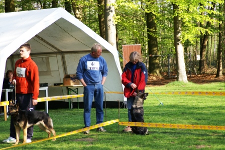 Koerung2009(04).JPG