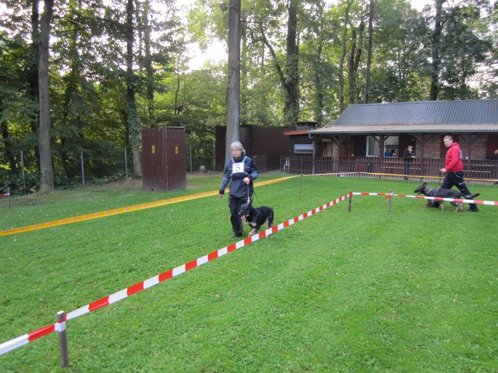 Koerung-2014(14).jpg
