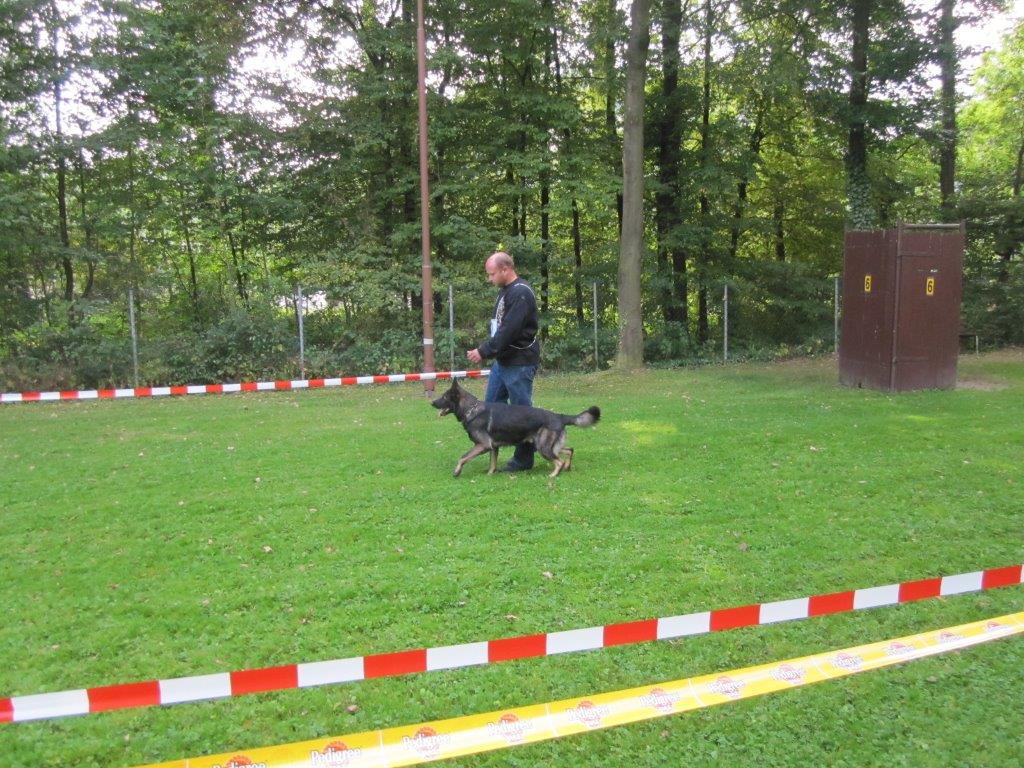 Koerung-2014(23).jpg