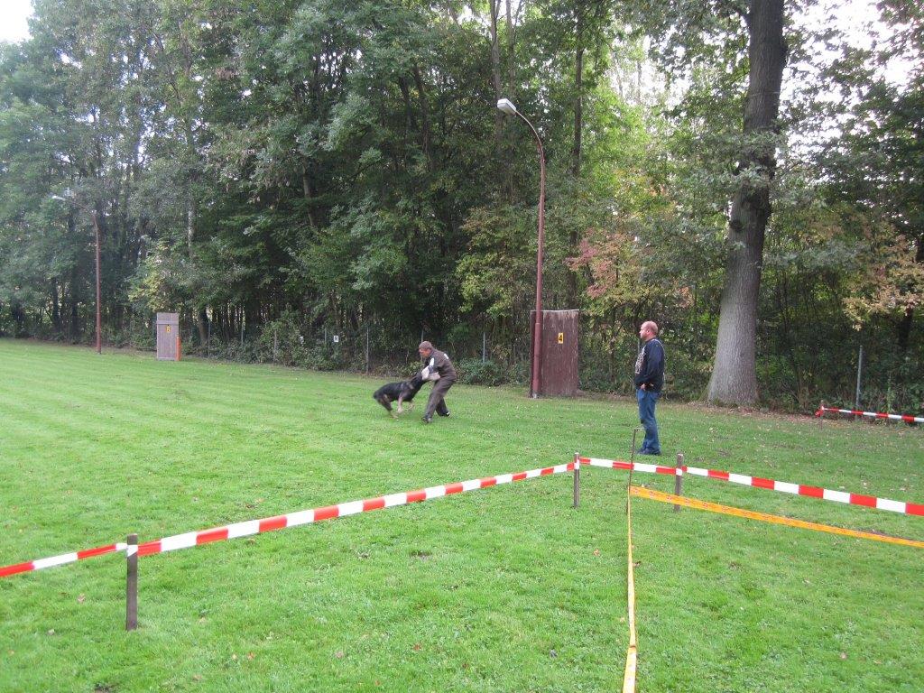 Koerung-2014(24).jpg