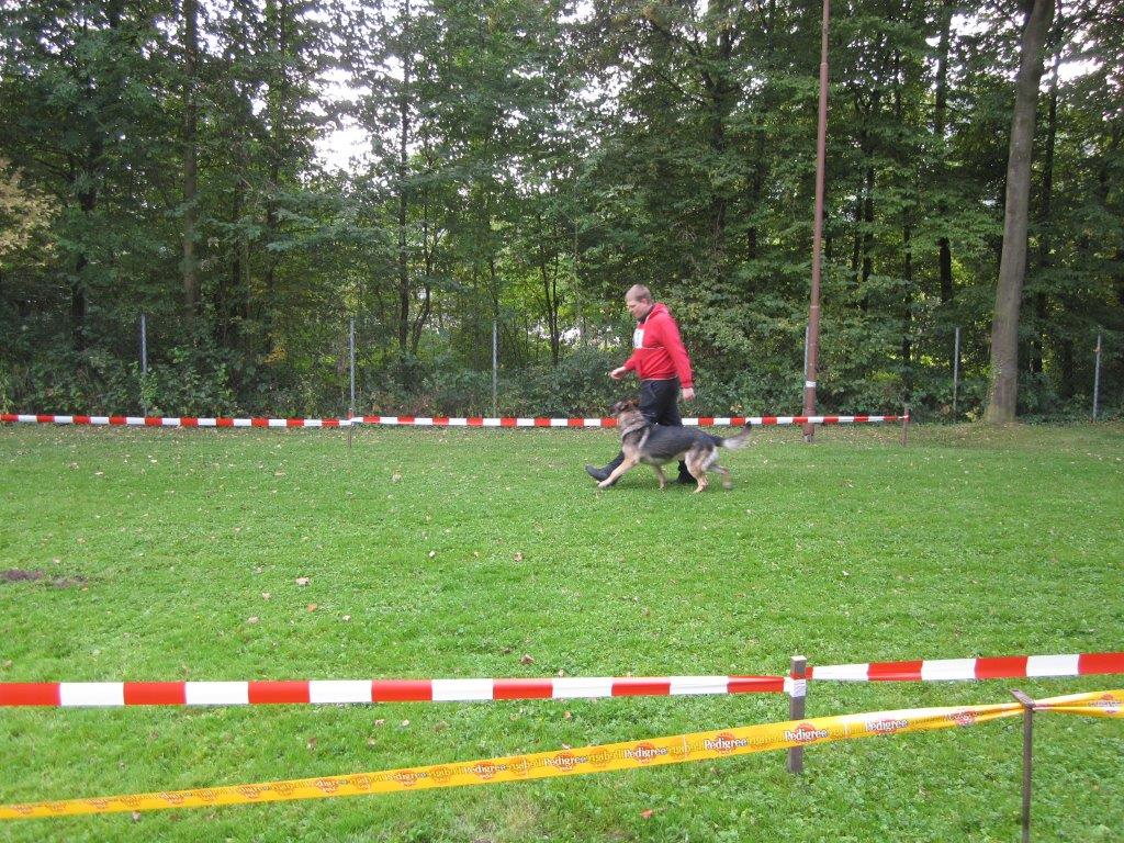 Koerung-2014(27).jpg