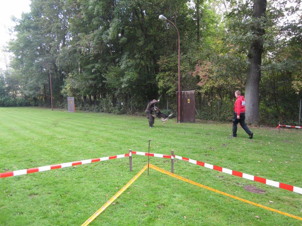 Koerung-2014(28).jpg