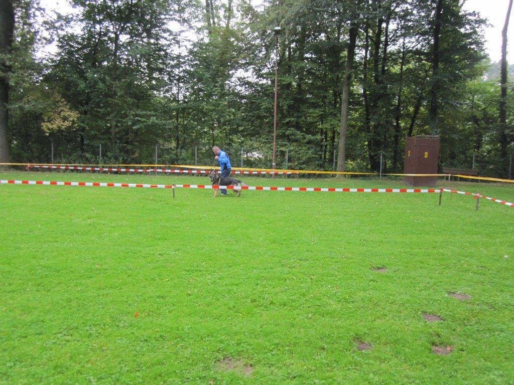 Koerung-2014(50).jpg